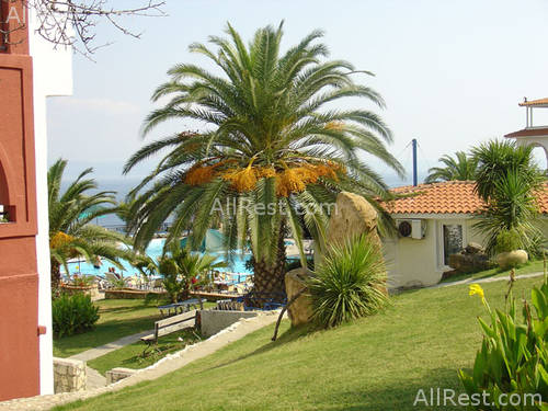 Aristoteles Beach Hotel 12